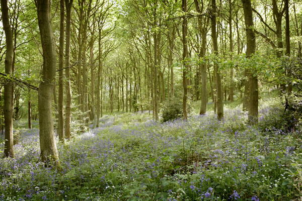 How to enjoy spring in Yorkshire