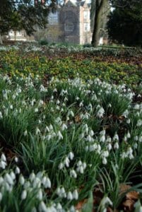 One of the best places to enjoy spring in Yorkshire is Goldsborough Hall