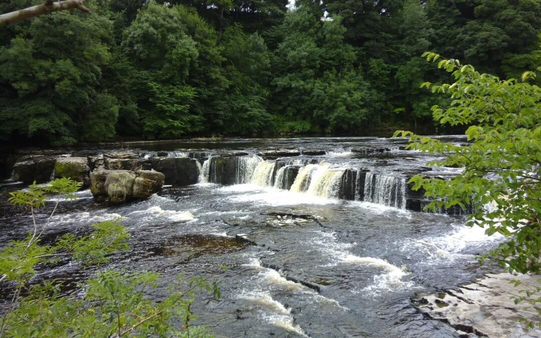 Free family days out in Yorkshire include the stunning Aysgarth Falls