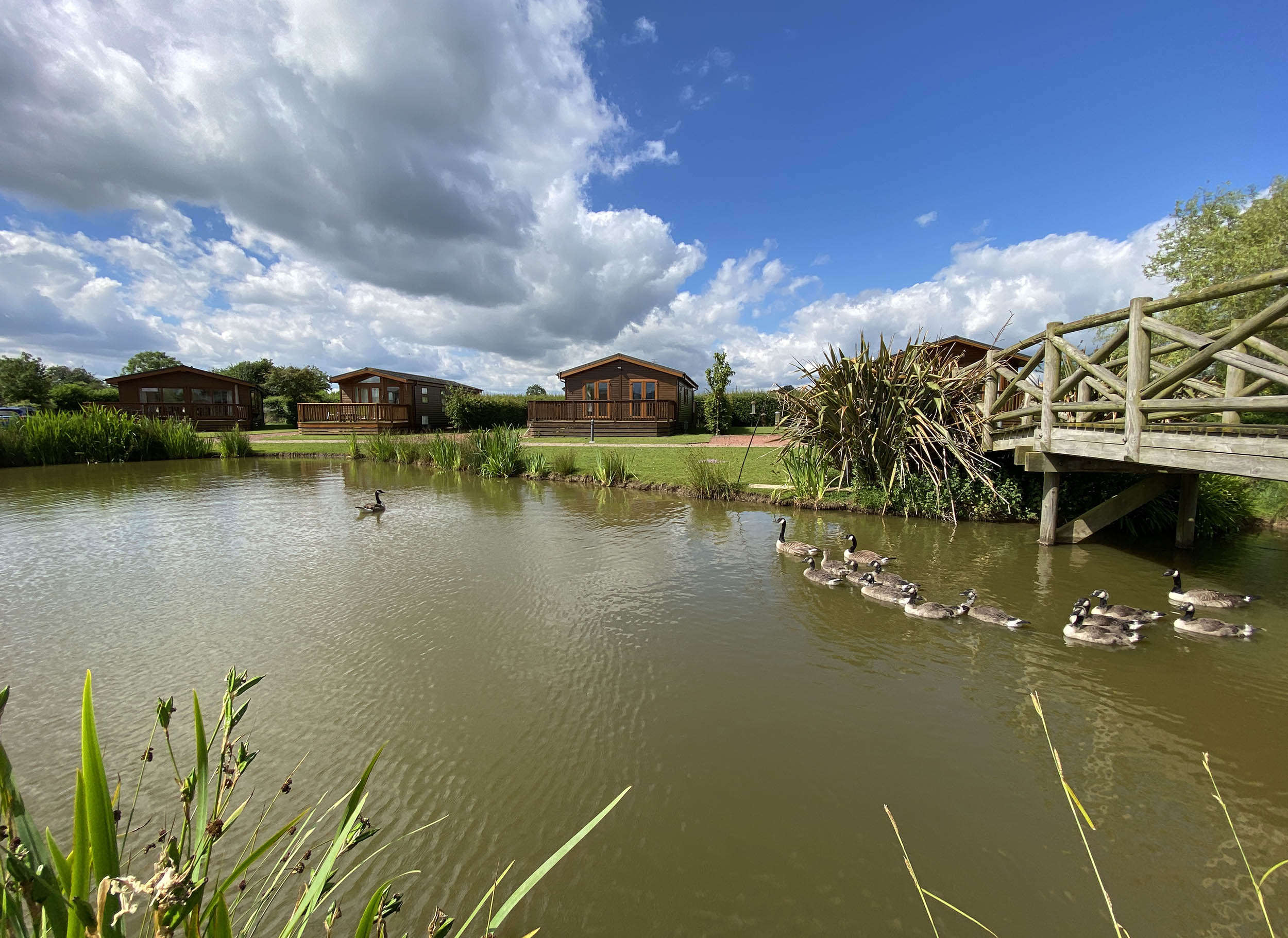 Abbots Green Pond June 2024